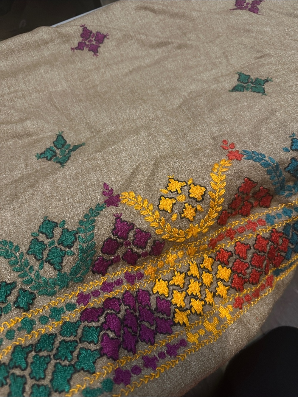 Embroidered Beige Shawl with Multicolor Floral Motifs - Picture 2 of 3